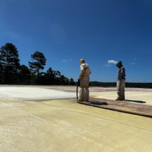 WhatsApp Image 2024-05-27 at 13.29.29 (2)